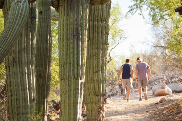 Canyon Ranch Tucson Mount Lemmont Exterior foto